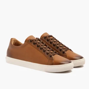 Low Top Sneakers